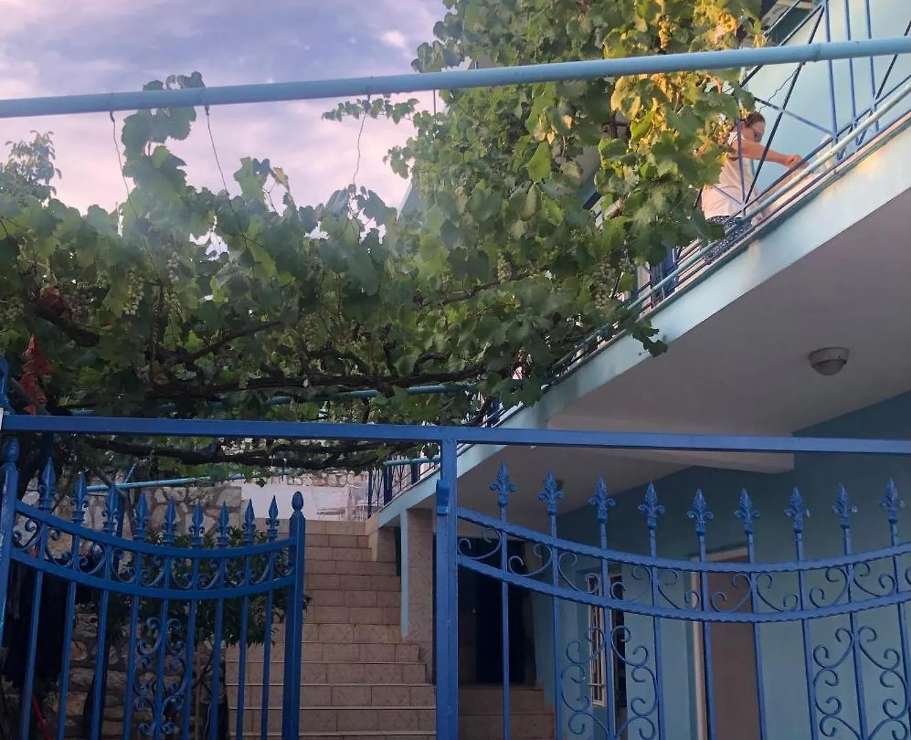 Guest house Dina House Hotel Himare
